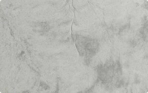 MS Quartz Metropolis oyster